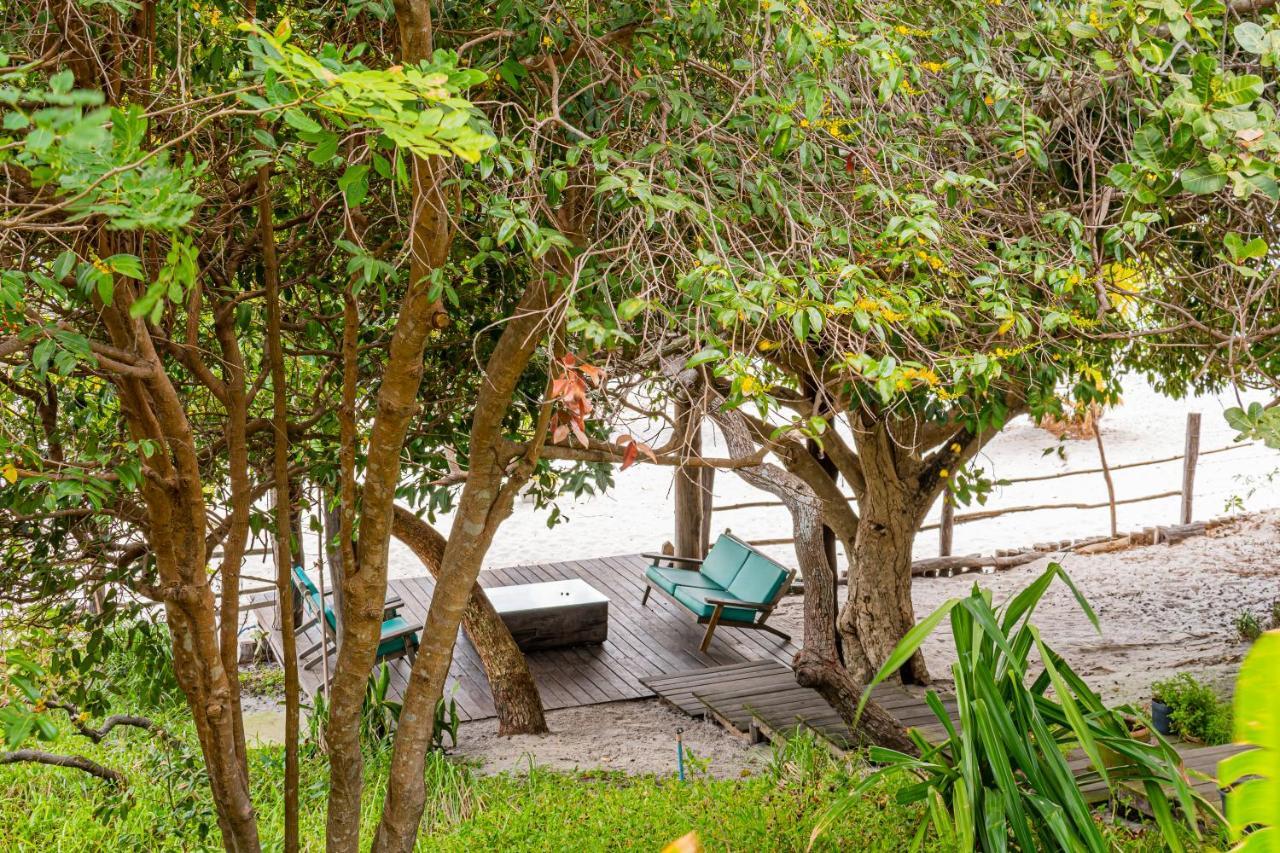 Papagaio Villa Jijoca de Jericoacoara