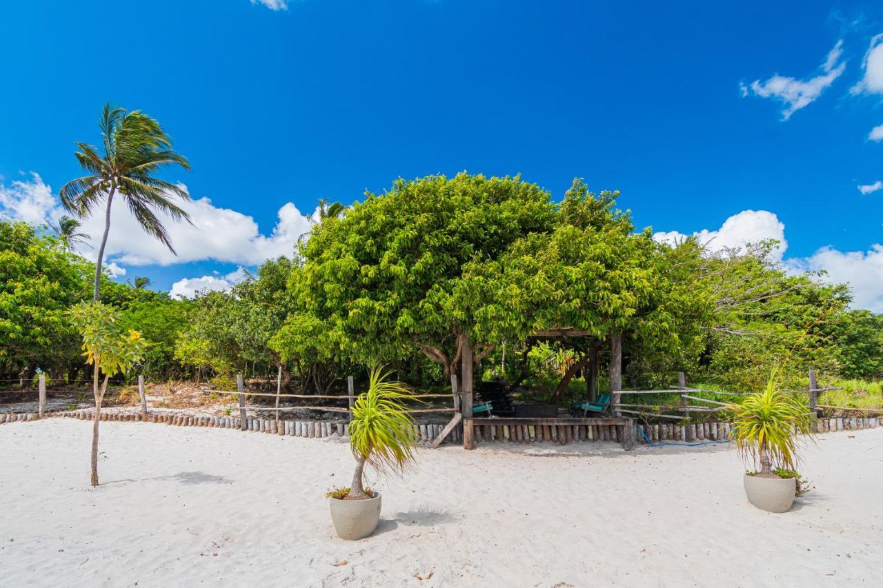 Papagaio Villa Jijoca de Jericoacoara