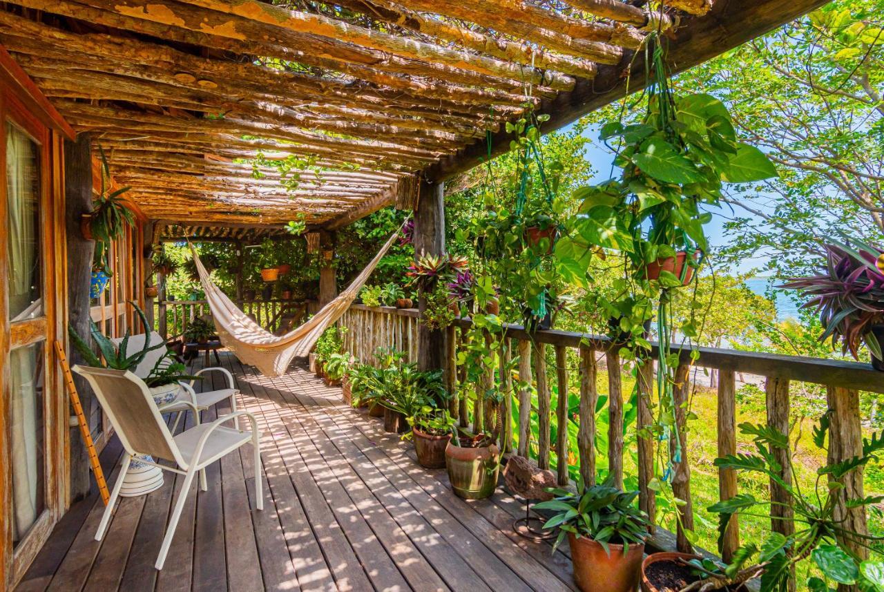Papagaio Villa Jijoca de Jericoacoara